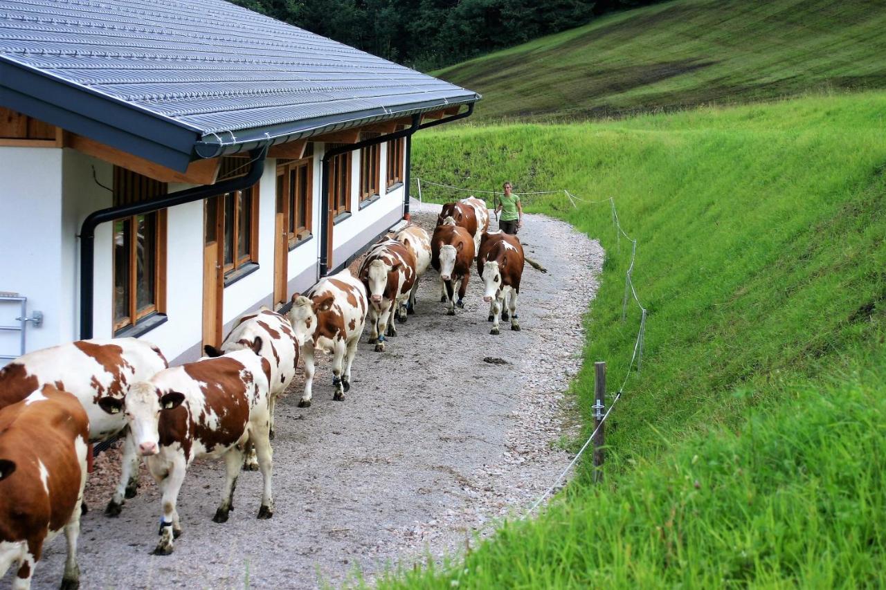 Schartlhof Villa Flachau Eksteriør bilde