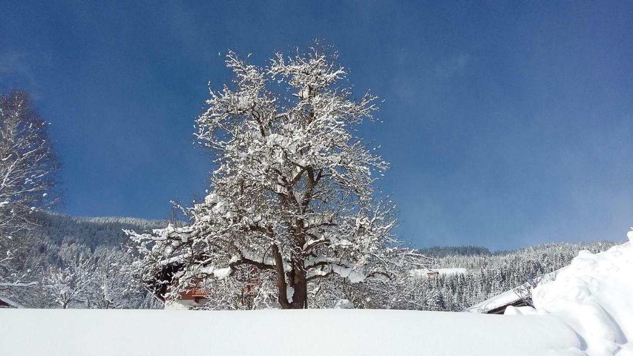 Schartlhof Villa Flachau Eksteriør bilde