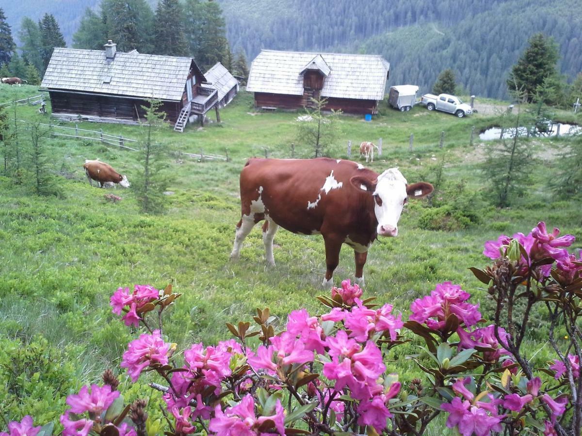 Schartlhof Villa Flachau Eksteriør bilde